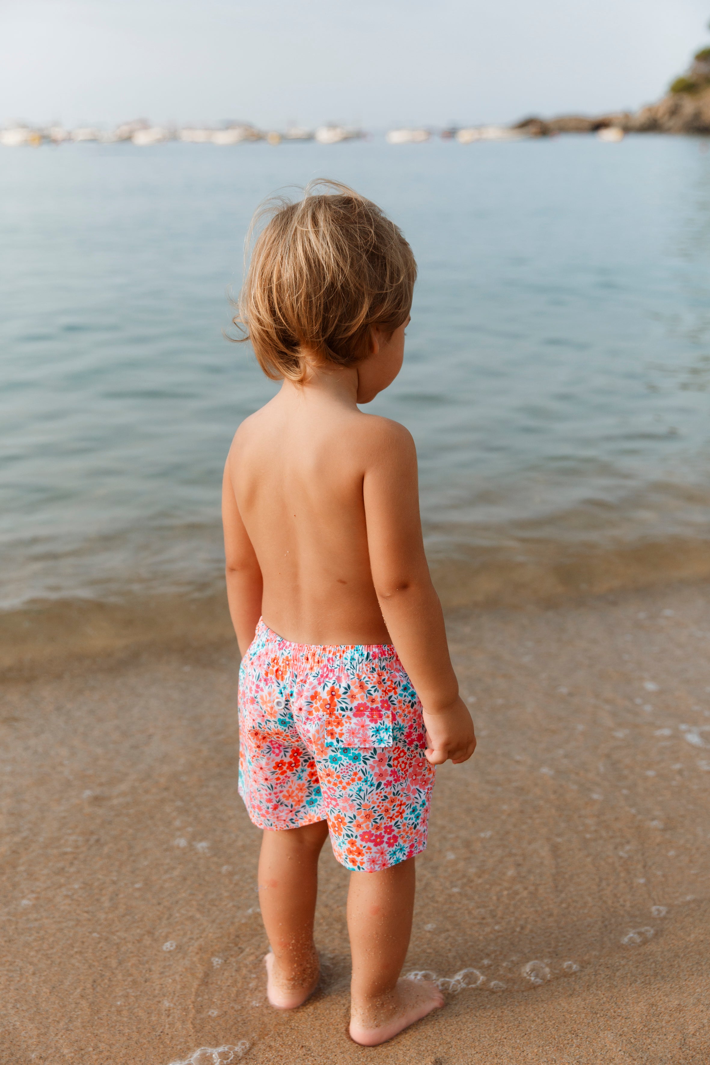 BOXER SURF BOY DAHLIAS