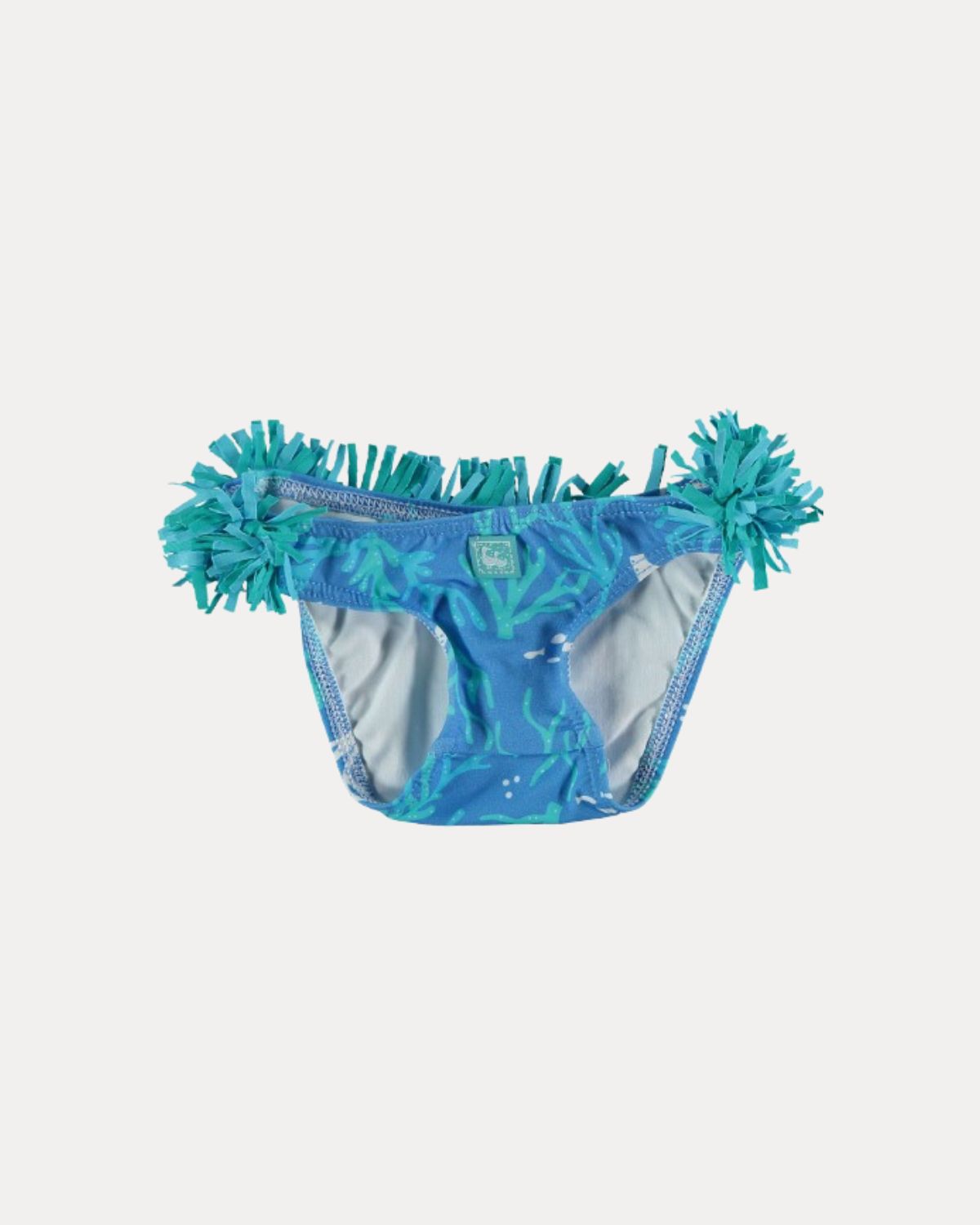 CORAL-WATER BRIEF