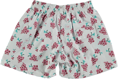 BOXER SURF UVA