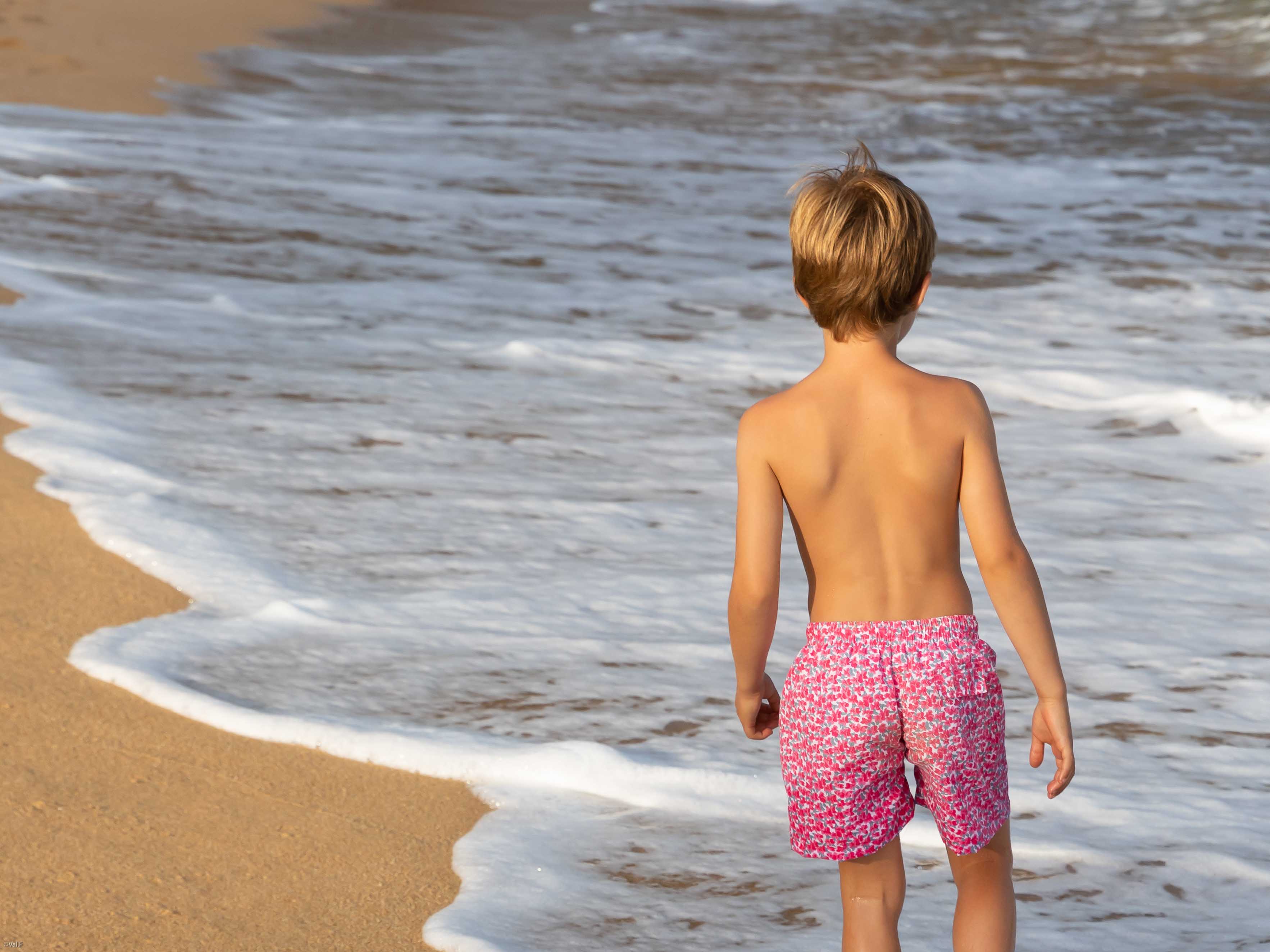 BOXER SURF FLORIDA