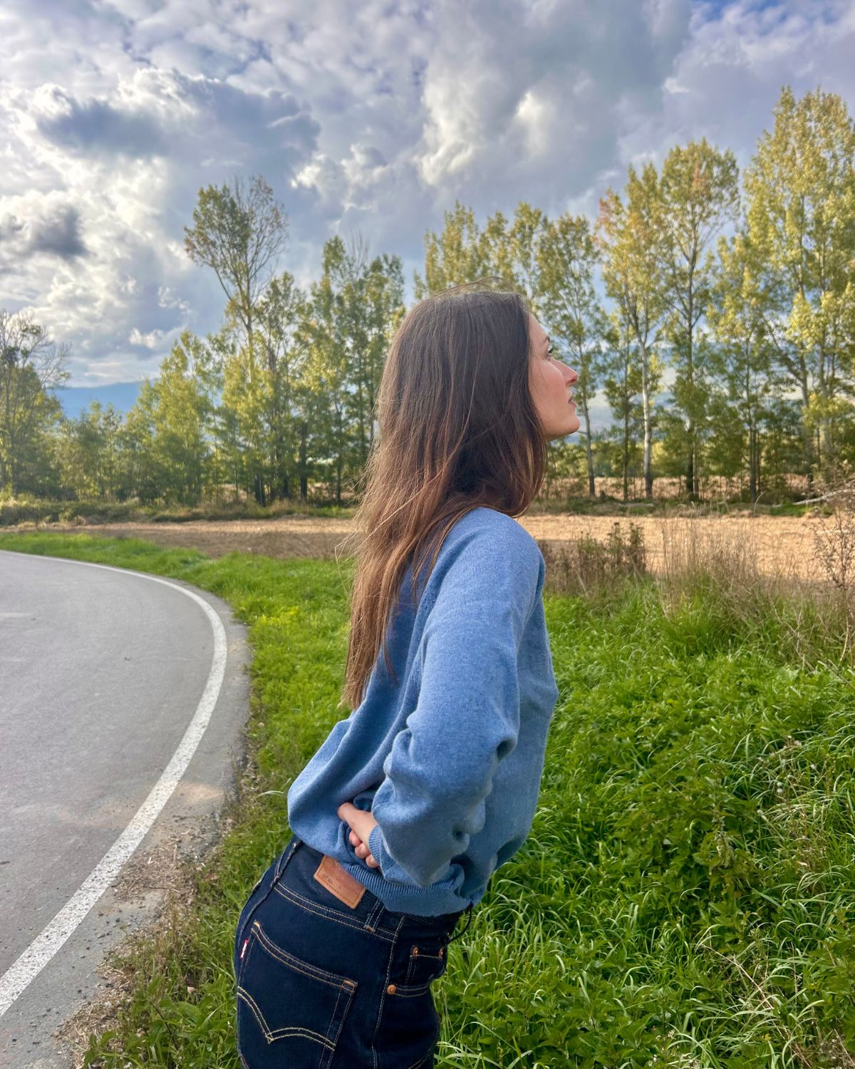 JERSEY ALEX AZUL ADULTO