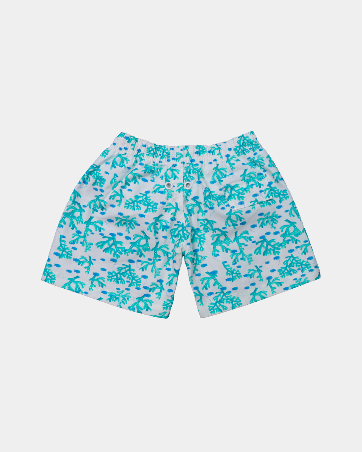 BOXER SURF DAD CORAL
