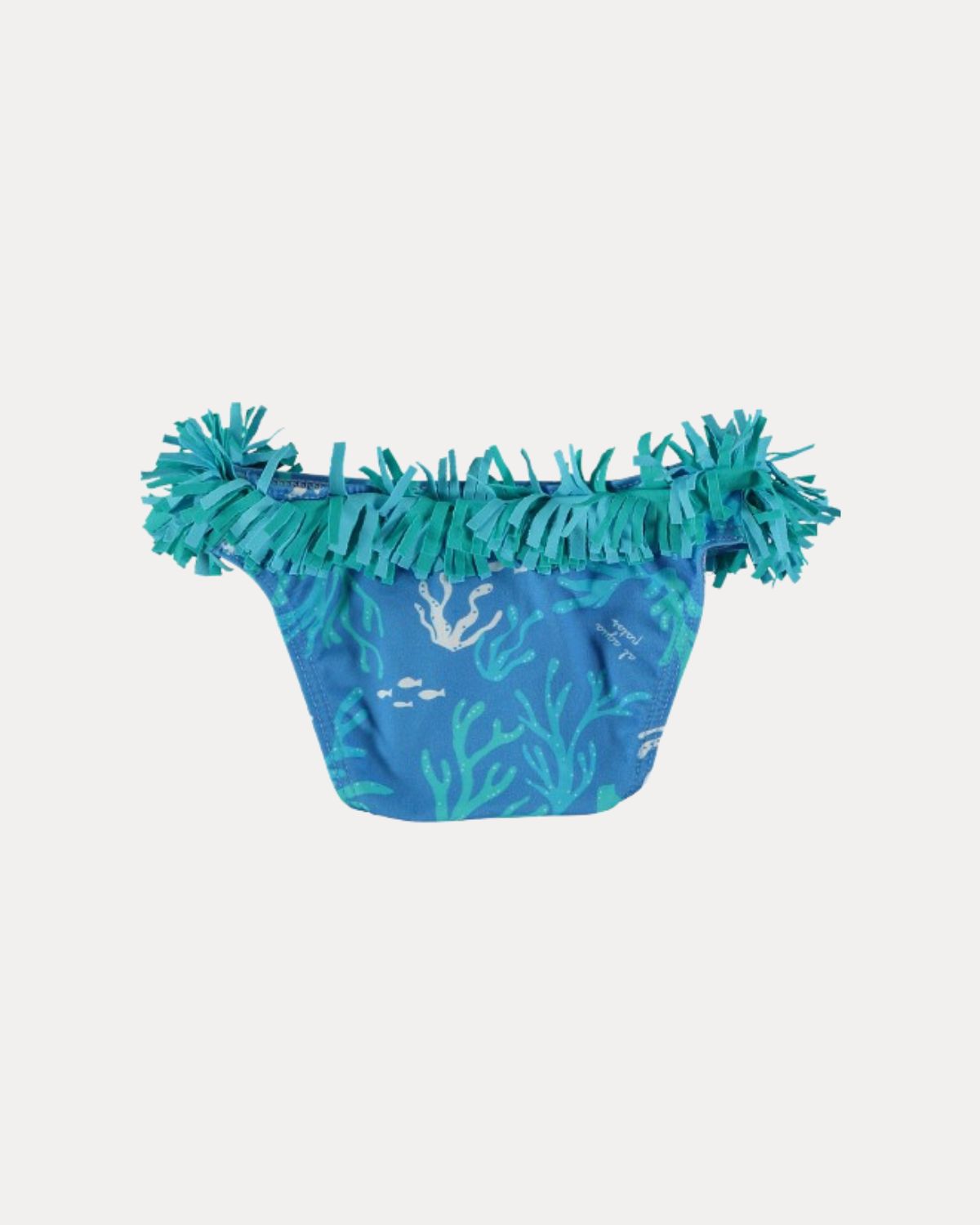 CORAL-WATER BRIEF